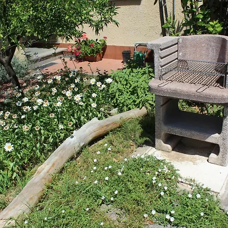 Dei Cipressi Donoratico